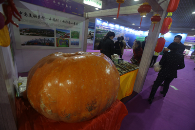 文旅博覽會(huì)搭橋 看景合作兩不誤