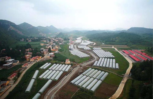 山海相連共筑夢——大連產(chǎn)業(yè)助力六盤水脫貧攻堅紀實