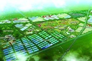 農(nóng)產(chǎn)品品牌與大連產(chǎn)業(yè)排行分析